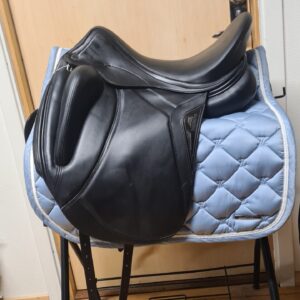 Equiline Alissum